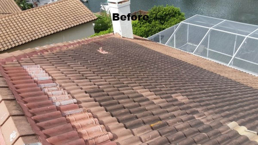 before softwashing the roofs by DPI in Tampa Bay