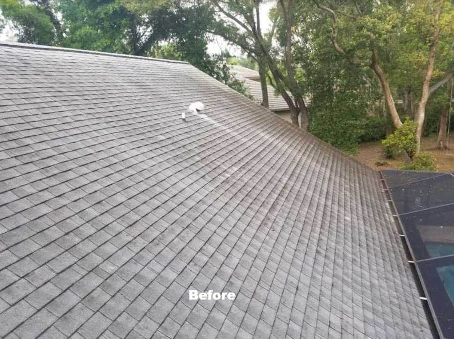 Bradenton roof cleaning by DPI