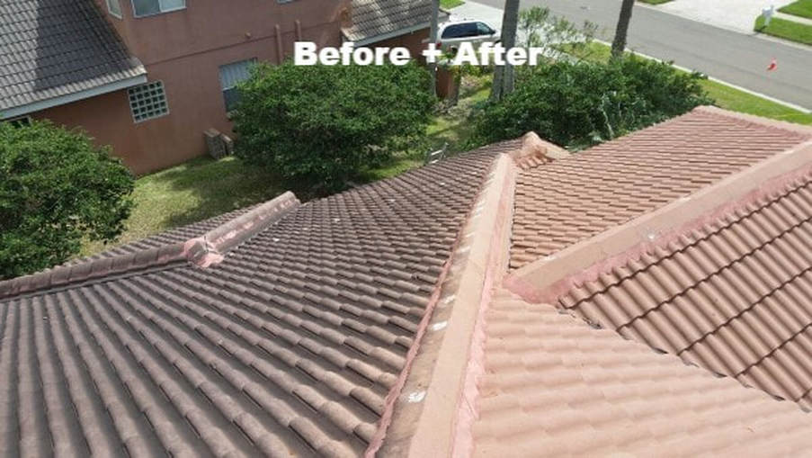 roofs before and after softwashing by DPI