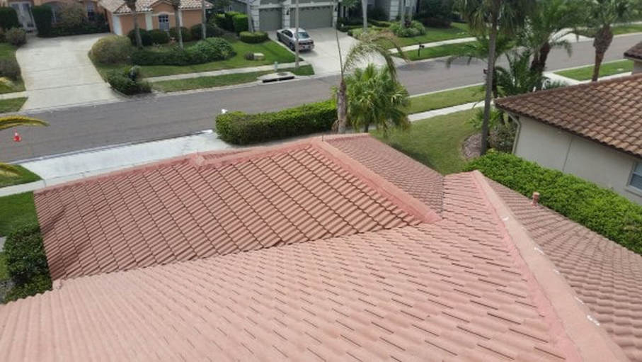 softwashing Tony's roof in Tampa