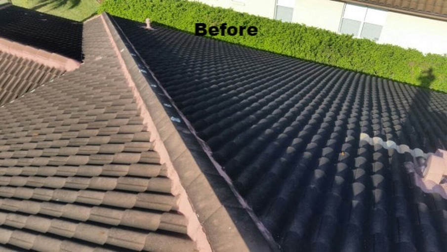 Tony's roof before softwashing by DPI in Tampa Bay