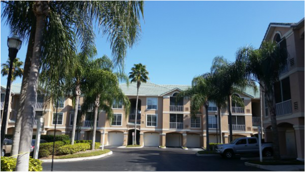 DPI Pressure Washing softwashed roofs at Rocky Point, Tampa