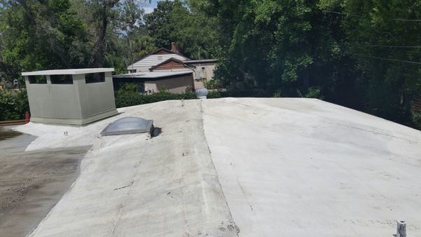 alicia-suarez-roof-after-softwashing