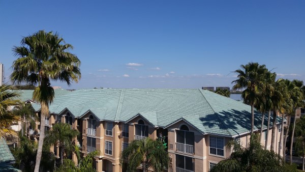 Softwashed roofs in Tampa by DPI Pressure Washing