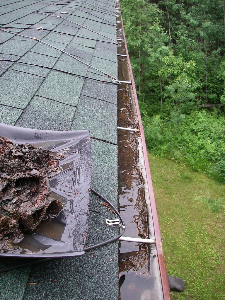 Gutter cleaning in Tampa Bay