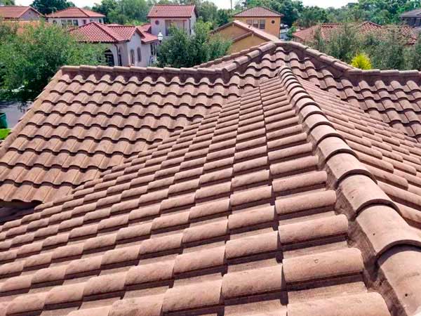 cleaning roofs in Tampa Bay area