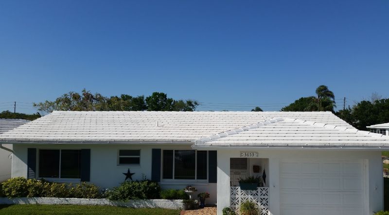 DPI job roof cleaning Tampa bay area