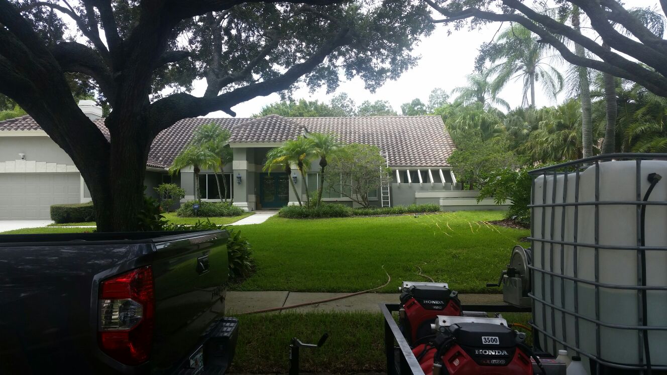 DPI Softwashed roof in Safety Harbor before
