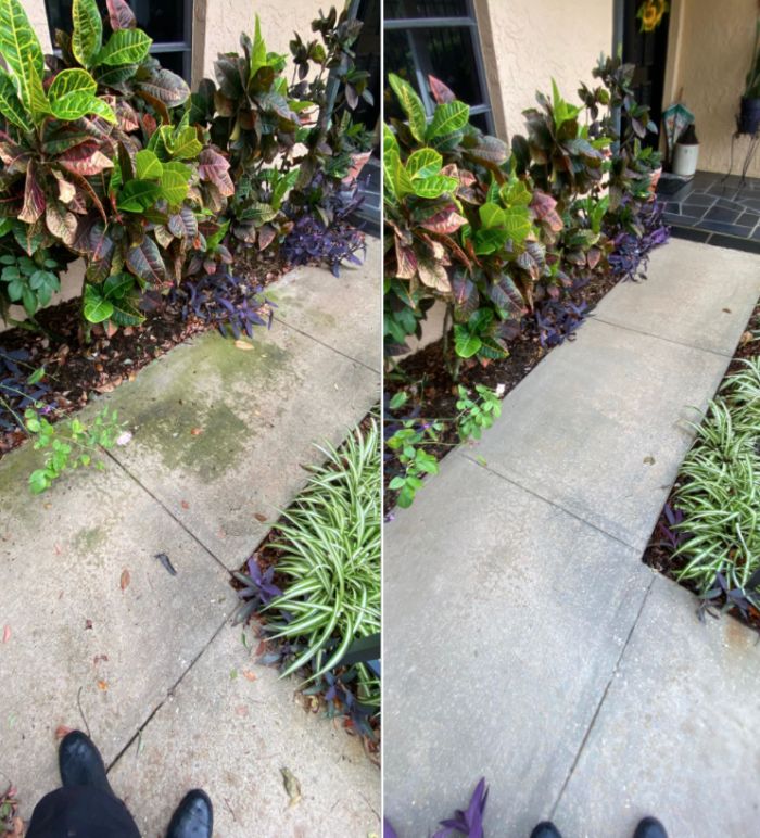 [Our Job Images] Before and after images pressure washing walkway for our customer in Clearwater.