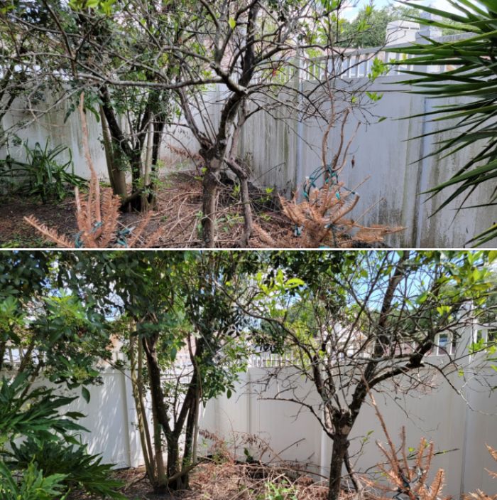 [Our Job Images] Before and after images pressure washing fence for our customer in Tampa Bay