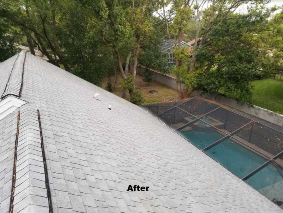 Clean roof after softwashing by DPI